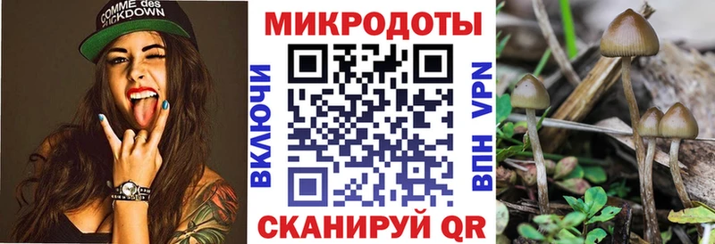 Псилоцибиновые грибы Psilocybe  Светлый 